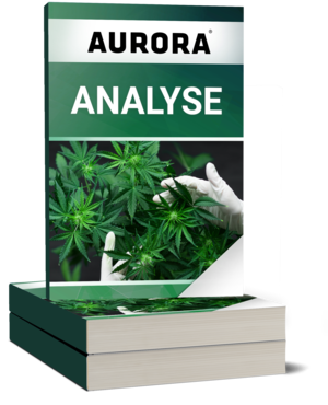 Aurora Cannabis Analyse