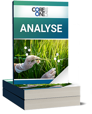 Gratis Core One Labs Analyse