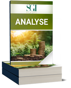 Sol Global Investments Analyse