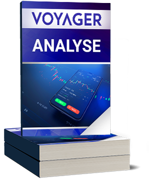Voyager Digital Analyse