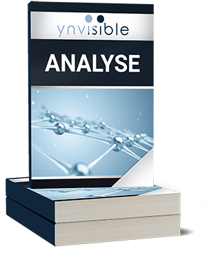Ynvisible Interactive Analyse