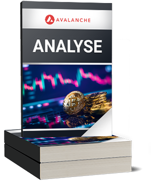 Avalanche Analyse