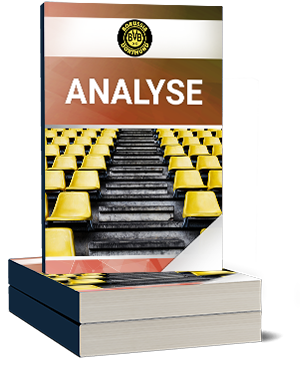 Borussia Dortmund GmbH Analyse