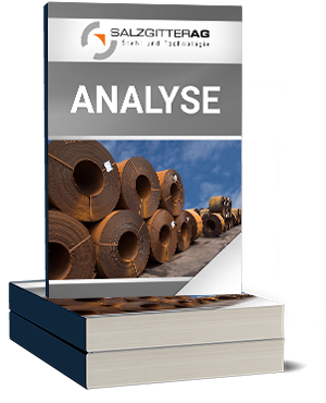 Salzgitter AG Analyse