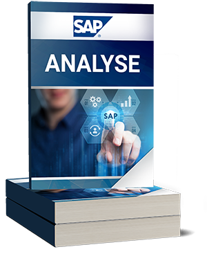 Sap Analyse