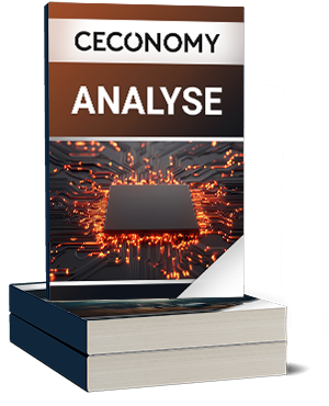 Ceconomy Analyse