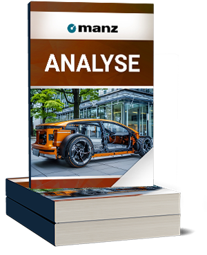 Manz Analyse