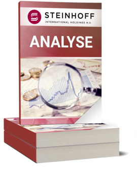 Steinhoff Analyse