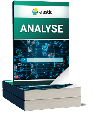 Elastic Analyse