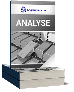 Anglo American Platinum Analyse