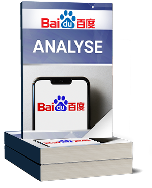 Baidu Analyse