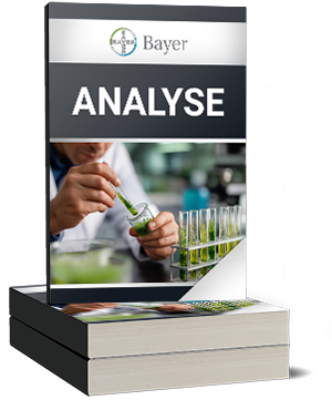 Bayer PK Analyse