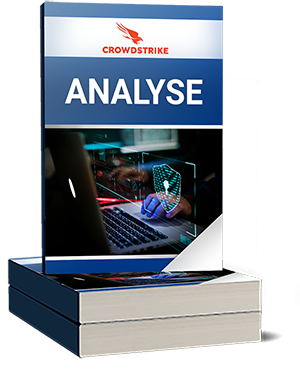 CrowdStrike Analyse