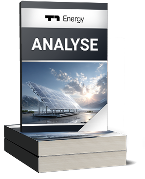 T1 Energy Analyse