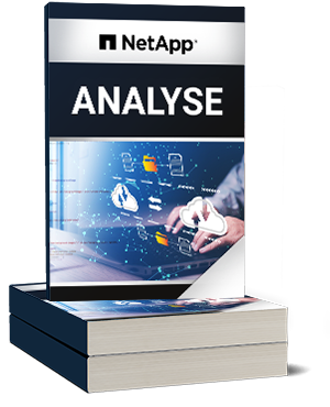 Netapp Analyse