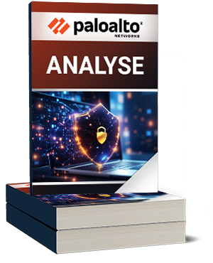 Palo Alto Networks Analyse