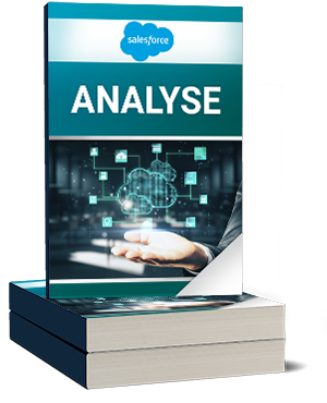 Salesforce Analyse