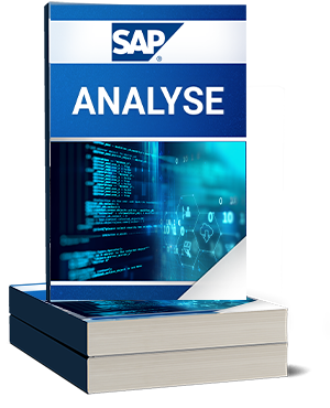 SAP Analyse