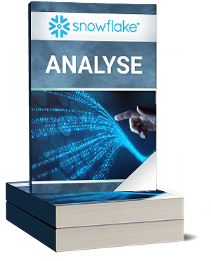 Snowflake Analyse
