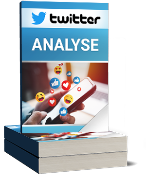 Twitter Analyse