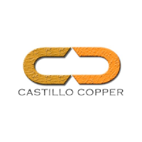 Castillo Copper Logo