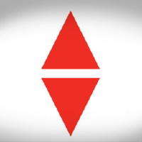 Pro Medicus Logo