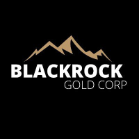 Blackrock Silver Logo