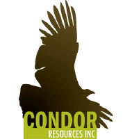 Condor Logo