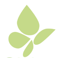 Pieridae Energy Logo