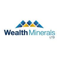 Wealth Minerals Logo