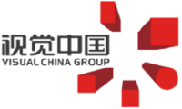 Visual China Logo