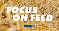Piippo OYJ Logo