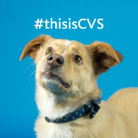 CVS Logo