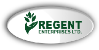 Regent Enterprises Logo