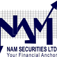 Namcurities Logo