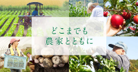 Agro-Kanesho Logo
