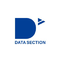 Datasection Logo