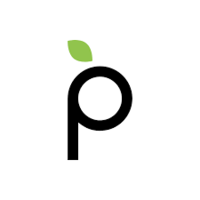 Plum Acquisition IV Ordinaryes Logo