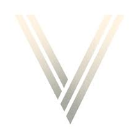 Voyager Acquisition Logo
