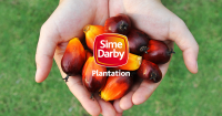 Sime Darby Plantation Bhd Logo