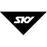 Skyetwork Television Logo