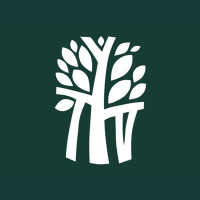 Banyan Tree Logo