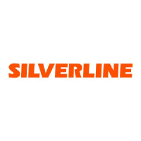 Silverline Endustri ve Ticaret AS Logo