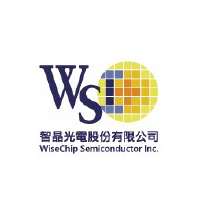 WiseChipmiconductor Logo
