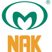 Naking Technologies Logo