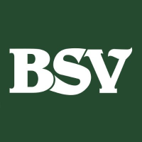 Bank of Southside Virginiaration The Logo
