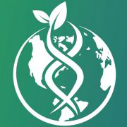 Global Wholehealth Partners Logo