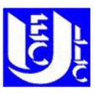 Union Electric Logo