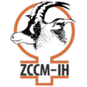ZCCM Investments Holdings (B) Logo