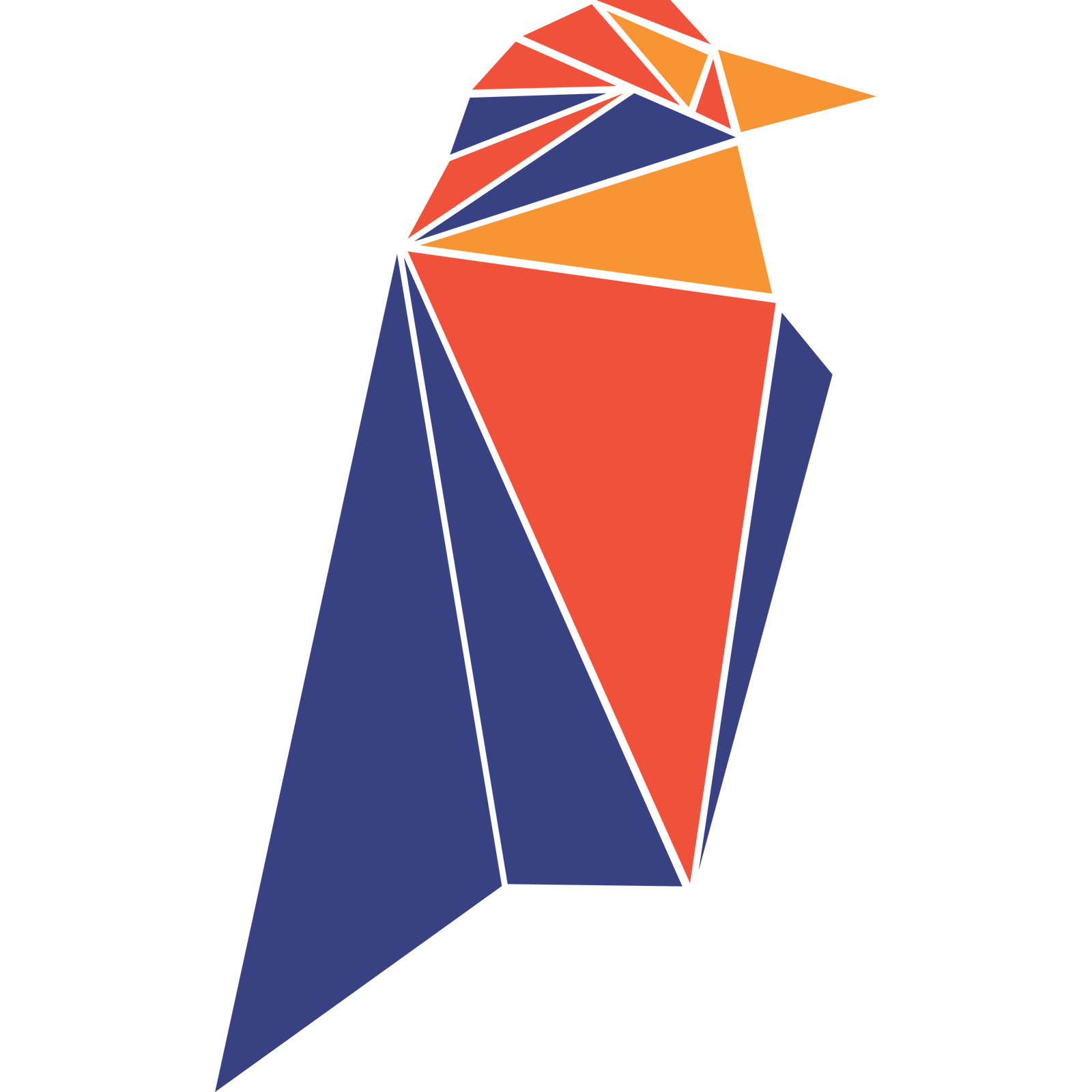 Ravencoin Logo